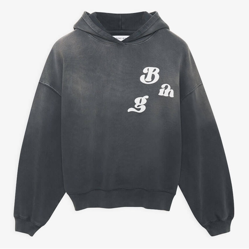 Anine Bing Vintage Alec hoodie grey